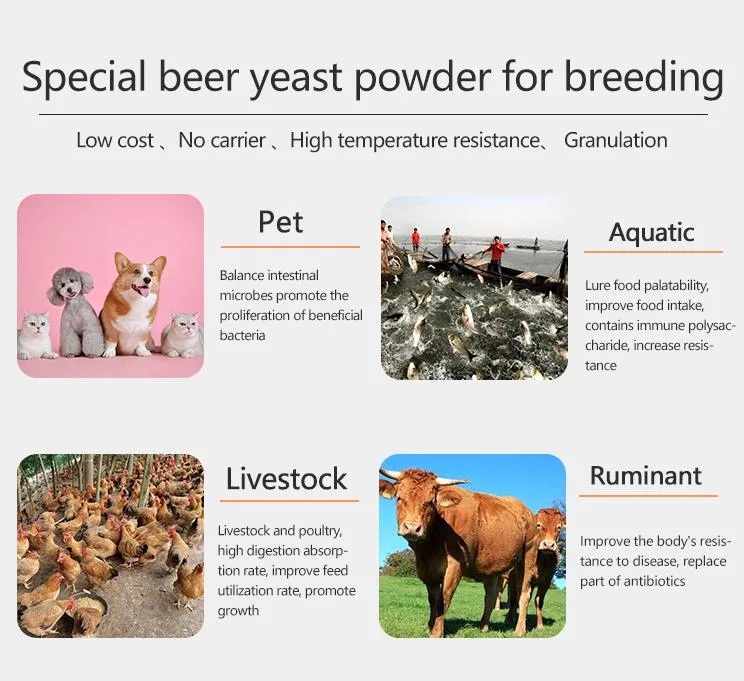 Lower Price Inactive Dried Beer Yeast for Animal Food