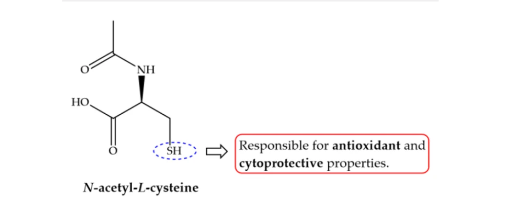 Nutrition Health Supplement Raw Material N-Acetyl-L-Cysteine Improve Immunity N Acetyl L Cysteine