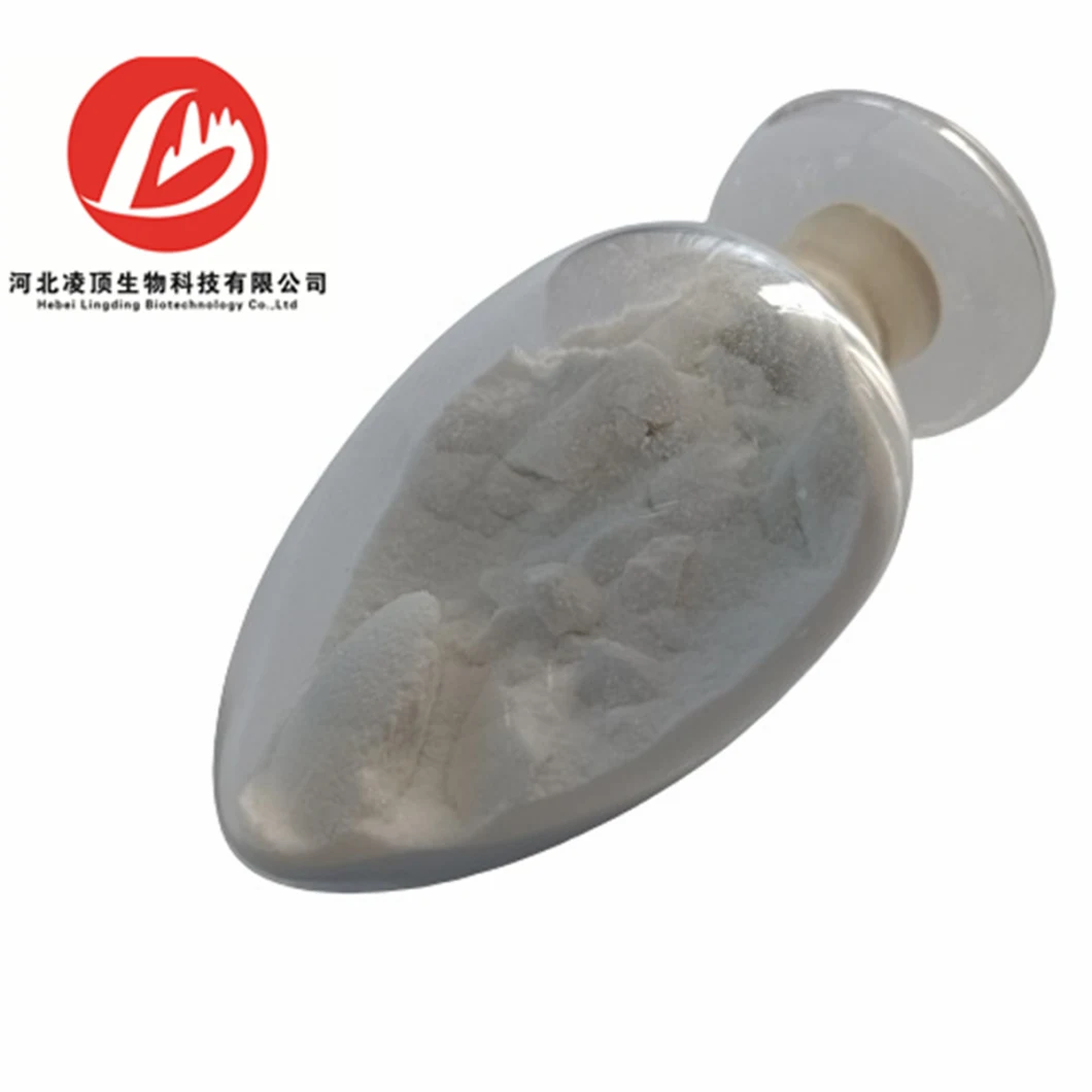 High Quality L-Cysteine Hydrochloride Monohydrate Powder CAS No. 7048-04-6