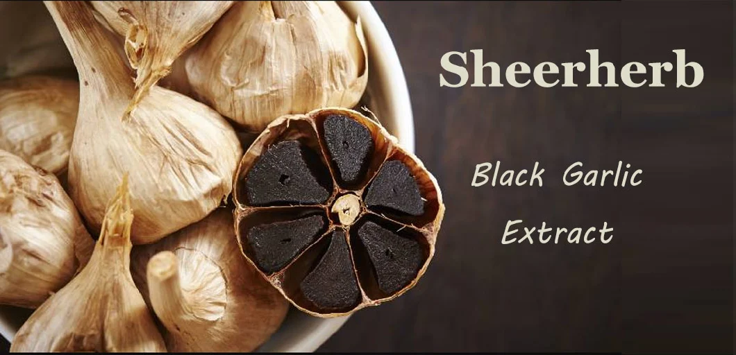 Anti-Aging High Purity Black Garlic Extract S-Ally-L-Cystein Antioxidant Black Garlic Extract