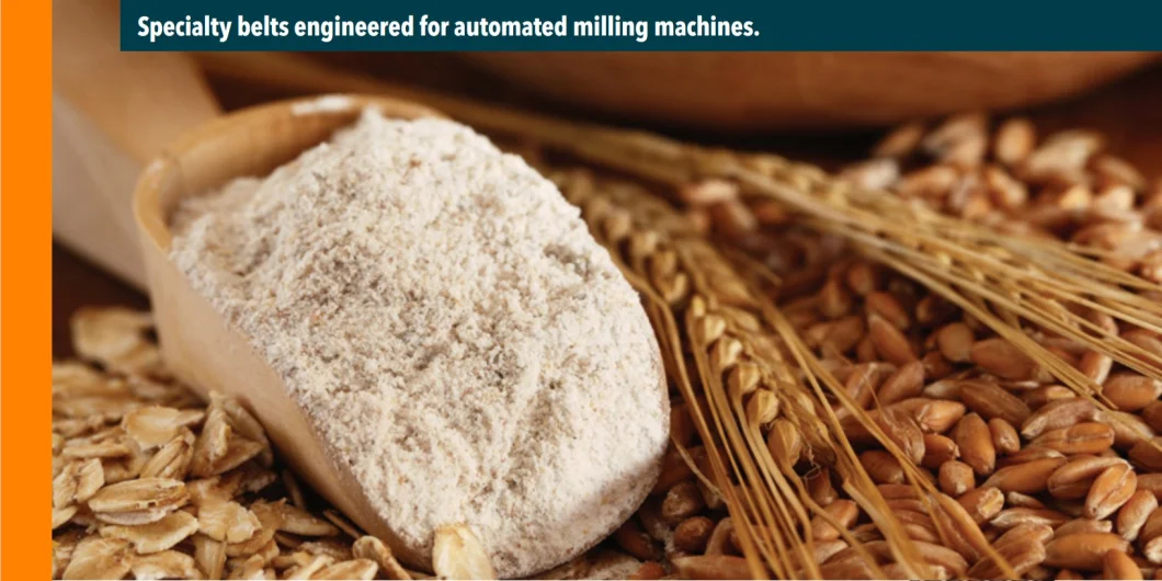 Flour Mill Belt, Teeth-Wedge Belt, Specialty Belts Engineered for Automated Milling Machines. Roller Mill Belt