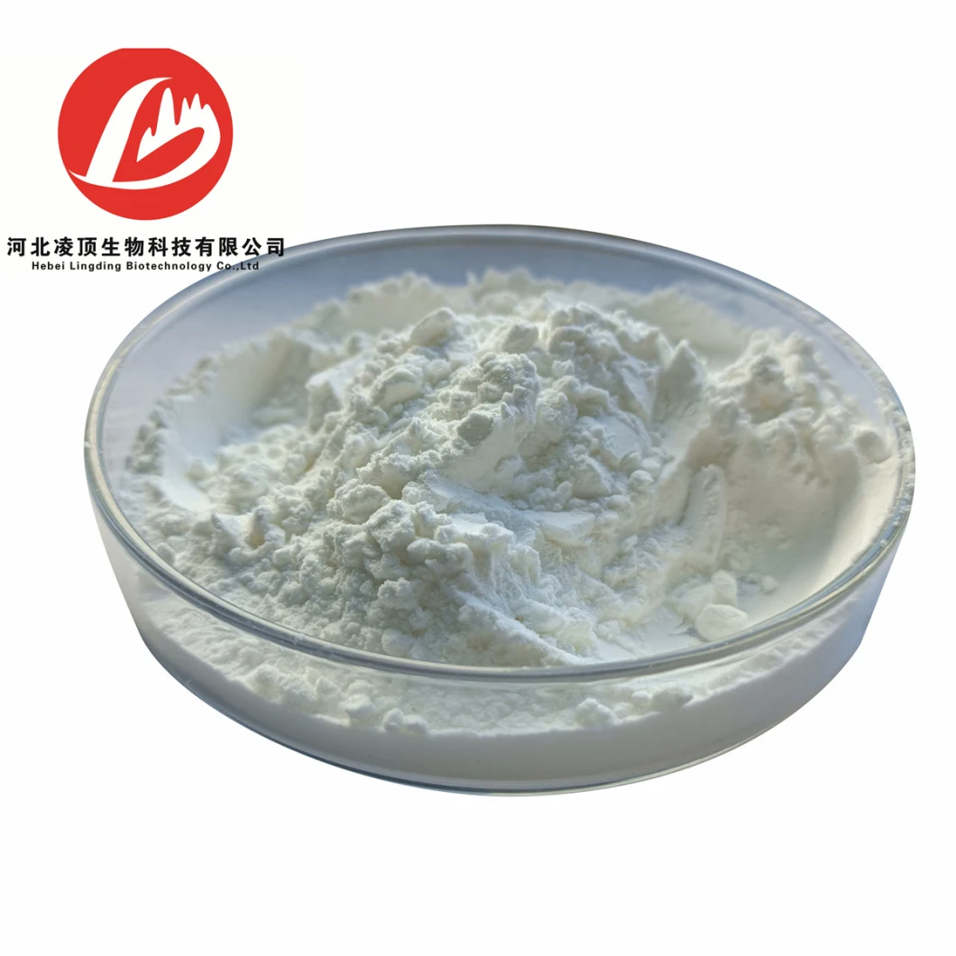 Polypeptide 99% Purity Glutathione CAS 70-18-8 with Best Price