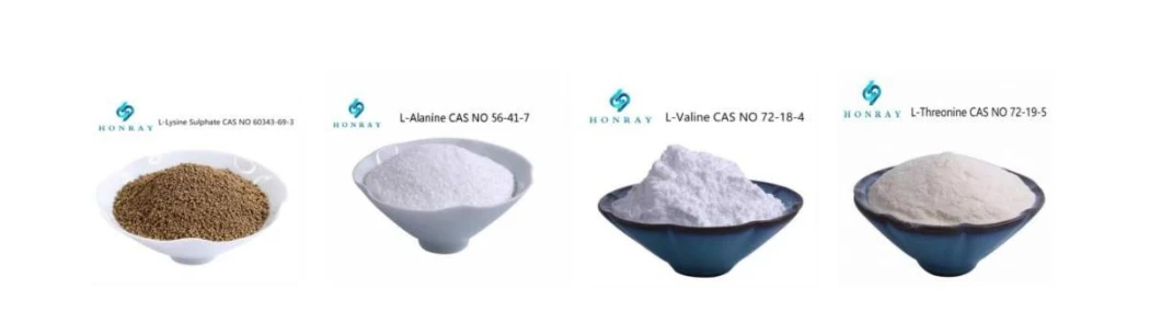USP/Ep/Aji Grade CAS 52-90-4 Amino Acids L-Cysteine