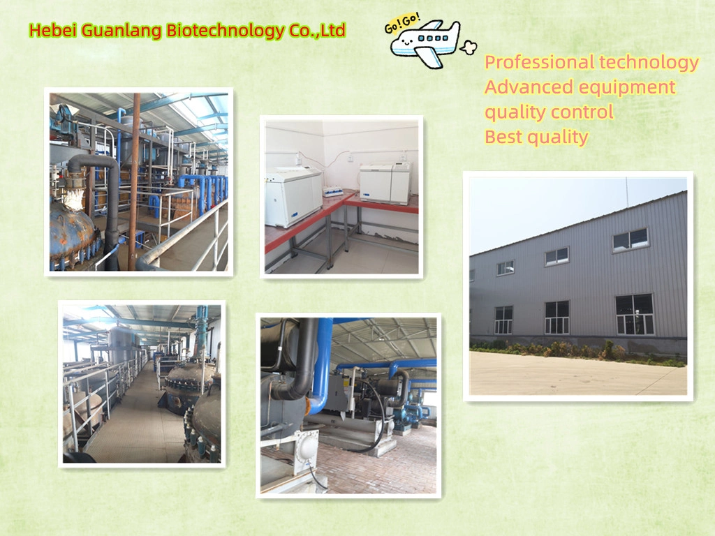 Factory Supply High Quality Feed Grade/Feed Additives L-Lysine CAS 56-87-1 with Best Price