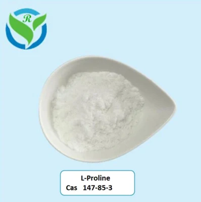 Amino Acid Sports Nutrition 99% Purity L-Proline L Proline CAS 147-85-3 Powder