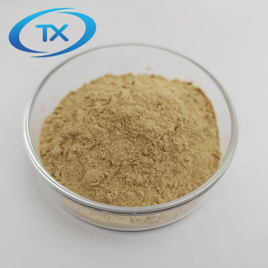 Feed Grade Inactive Dry Saccharomyces Cerevisiae Brewer Yeast Powder