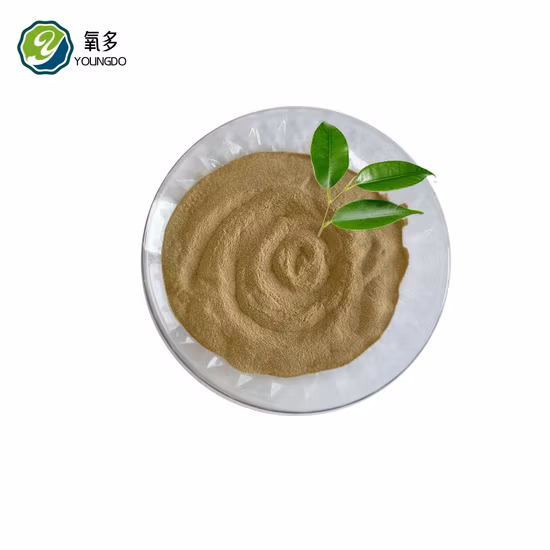 Feed Grade Inactive Dry Saccharomyces Cerevisiae Brewer Yeast Powder